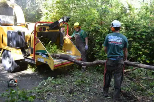 tree services Birdseye